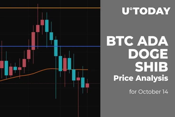 BTC, ADA, DOGE and SHIB Price Analysis for October 14