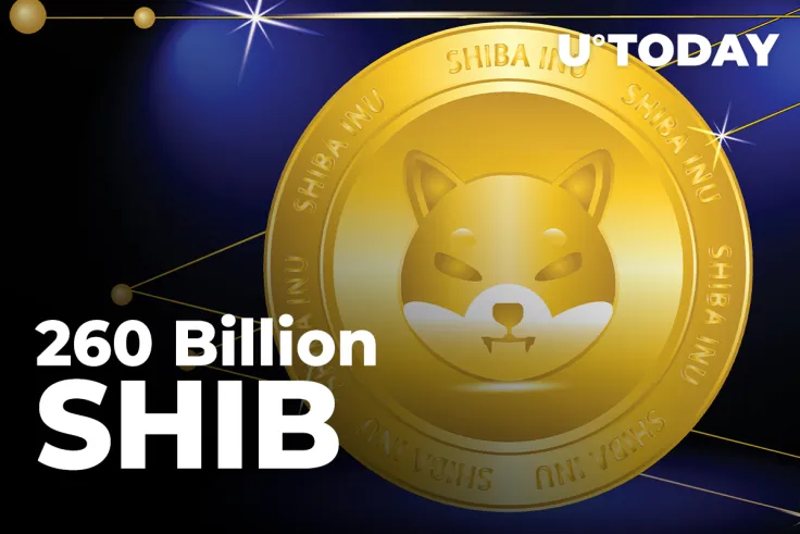 260 Billion SHIB Moved by Anon Whales, While Coin Is Trying to Recover