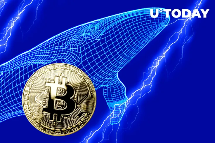 Bitcoin Whales Buying Activity on Rise with 254 New Whales Entering Market