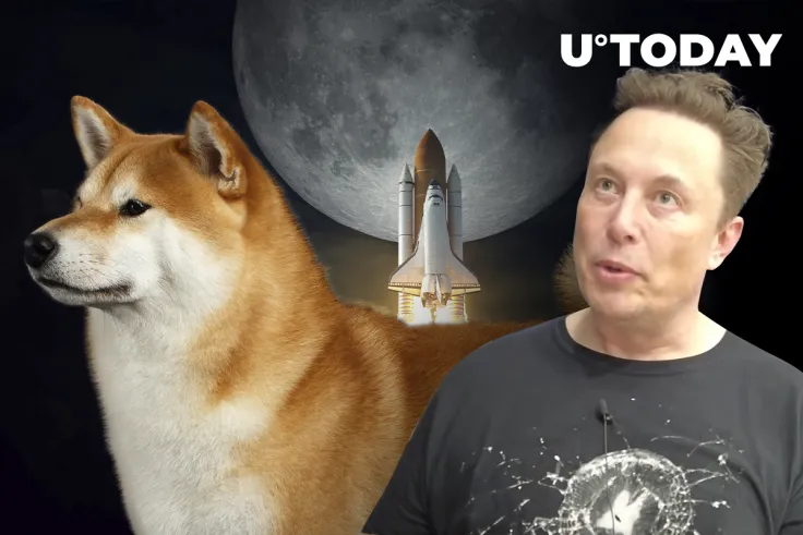 Elon Musk and SHIB Whales Pushing Shiba Inu 15% Up, Here’s How