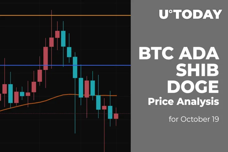 BTC, ADA, SHIB and DOGE Price Analysis for October 19