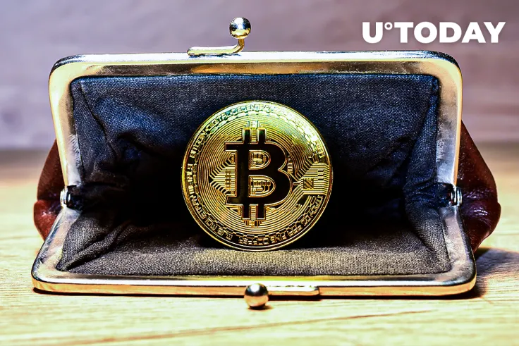 Mind-Blowing 99.7% of All Bitcoin Holders Are Now in Profit