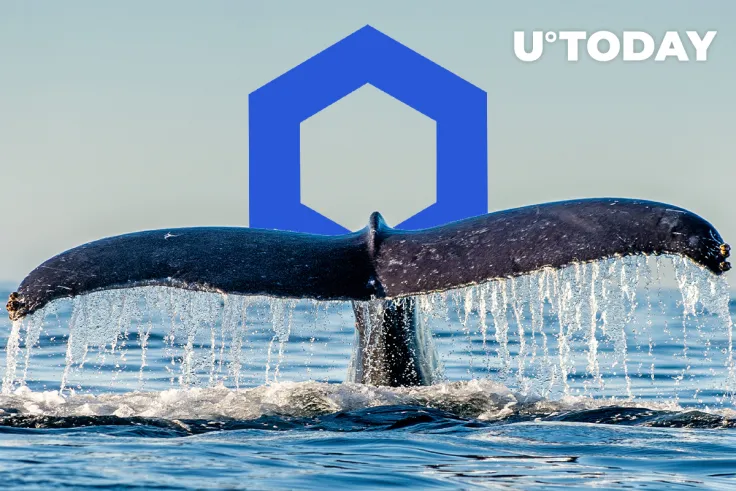 Chainlink Whales Now Hold Almost 25% of Supply: Here's Why It Might Be Concerning
