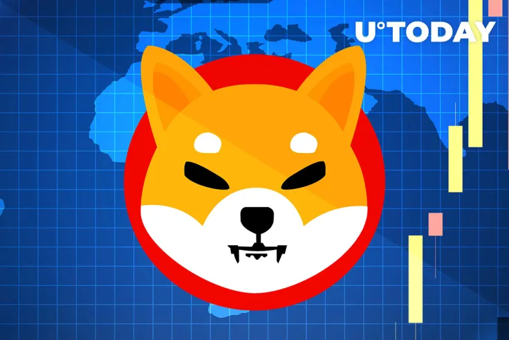 Once SHIB Regains $0.00003, It May Reach New ATH: Candidate for US Senate 2022 Shannon Bray