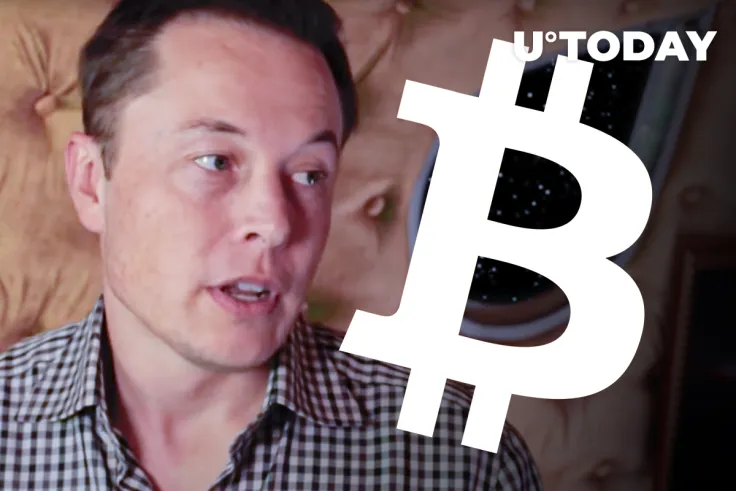 Elon Musk-Posted Bitcoin $69,000 Meme Sold for $28,000 in WETH by Author 