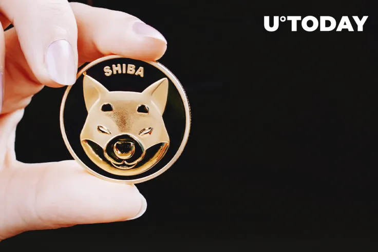 SHIB Not Hurt by Elon Musk's Negative Tweet, David Gokhshtein Explains Why