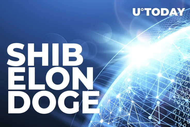 SHIB, ELON and DOGE Show Strong Inverse Correlation with This Indicator