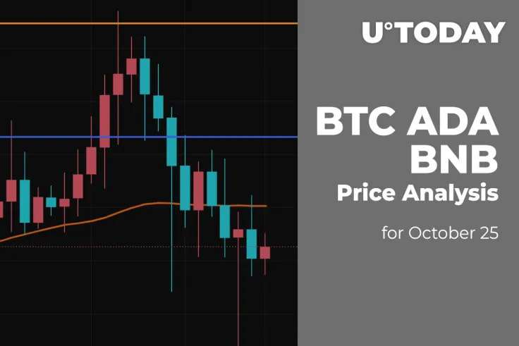 BTC, ADA and BNB Price Analysis for October 25