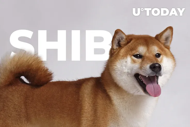 Shiba Inu (SHIB) Reaches New All-Time High, Inching Closer to Surpassing Dogecoin