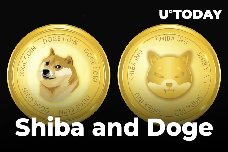 Shiba and Doge Became Two Most Popular Topics in Community, That's Why Volatility Might Hit Market