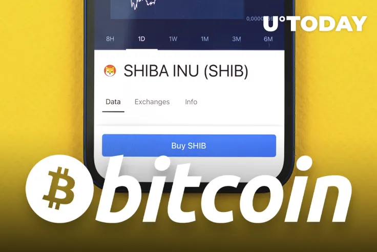 SHIB Has Brilliance in Design, But Bitcoin Is Likely to Prevail, Mike McGlone Explains Why