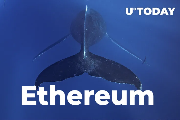 Top 10 Ethereum Non-Exchange Whales Versus Exchange Whales Ratio Hits 5:1 Peak, Here’s What It Means 
