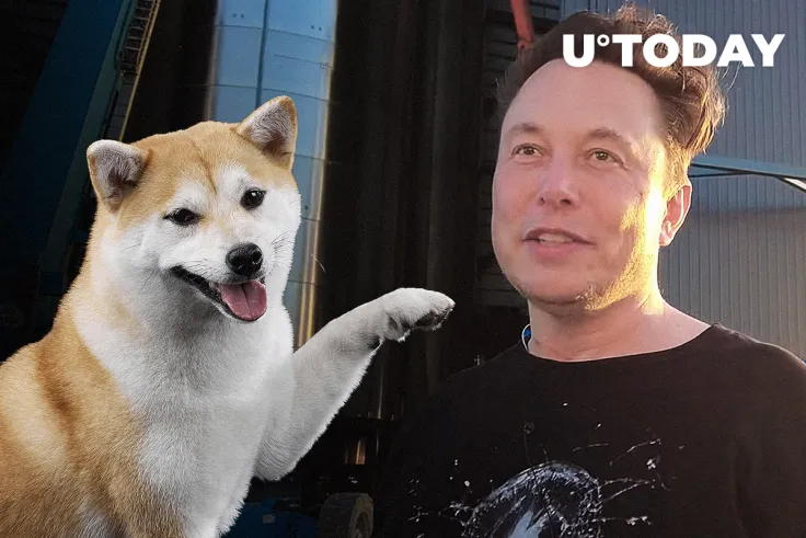 Elon Musk's Shiba Inu Floki Picture Attracts Over 90,000 Tweets