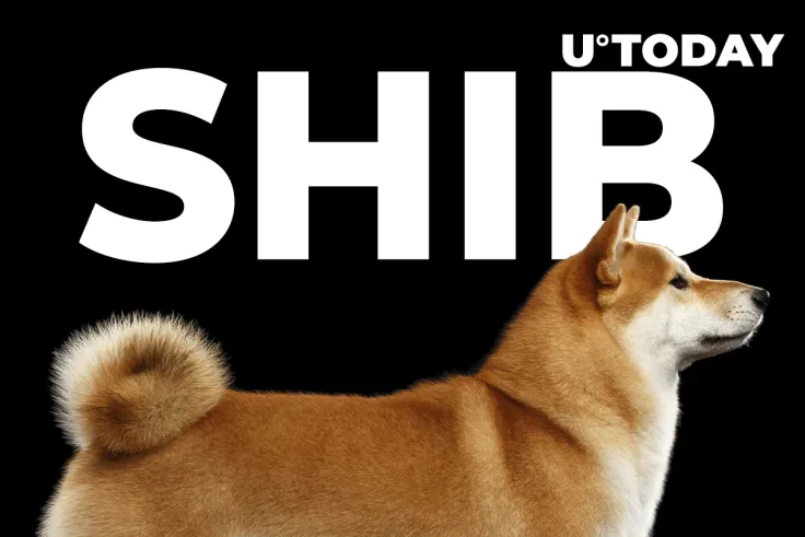 SHIB Trading Volume on Derivatives Market Hit 78x Increase After 300% Growth