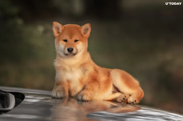 Shiba Inu Now Valued Higher Than Nissan and LG Electronics as Price Hits Fresh Record Highs