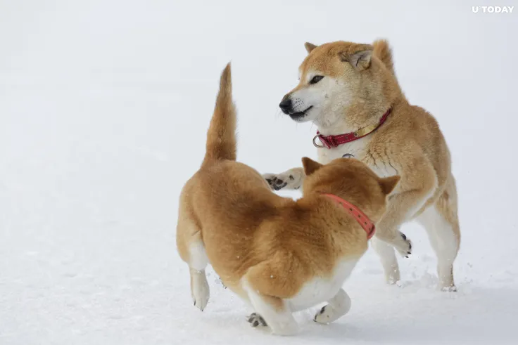 Shiba Inu Is Back Above Dogecoin as Coinbase Changes SHIB's Maximum Price Precision