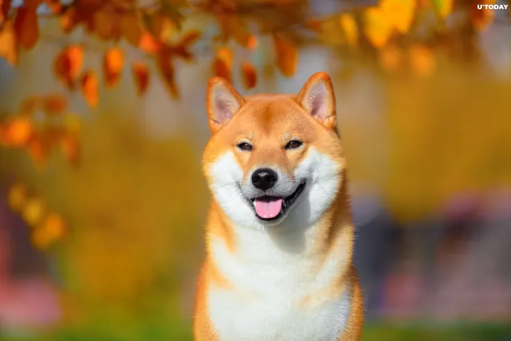 Shiba Inu Generates 1 Million Tweets as Price Keeps Hitting Fresh Highs