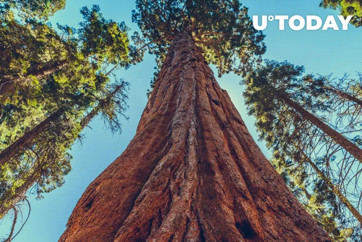 Sequoia Capital Plans to Invest More in Crypto