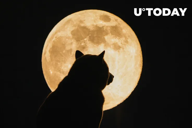 Jason Derulo Says He Was Early to Shiba Inu 