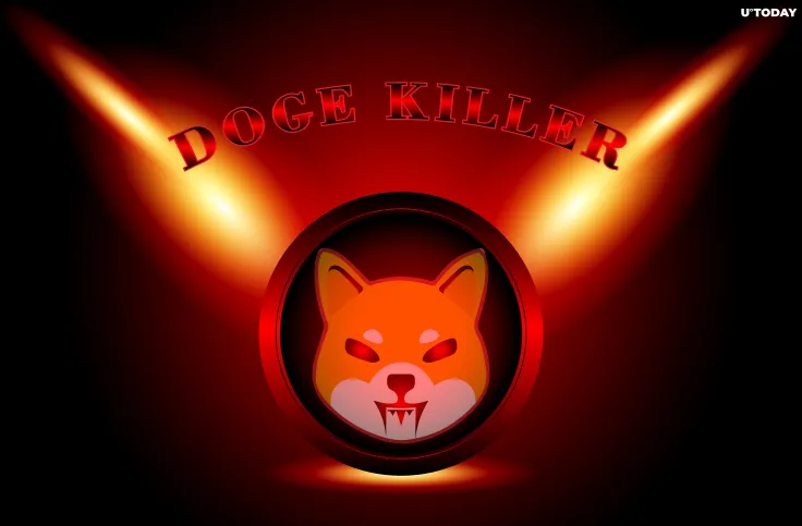 Shiba Inu Flips Dogecoin on CoinGecko, Defying Elon Musk