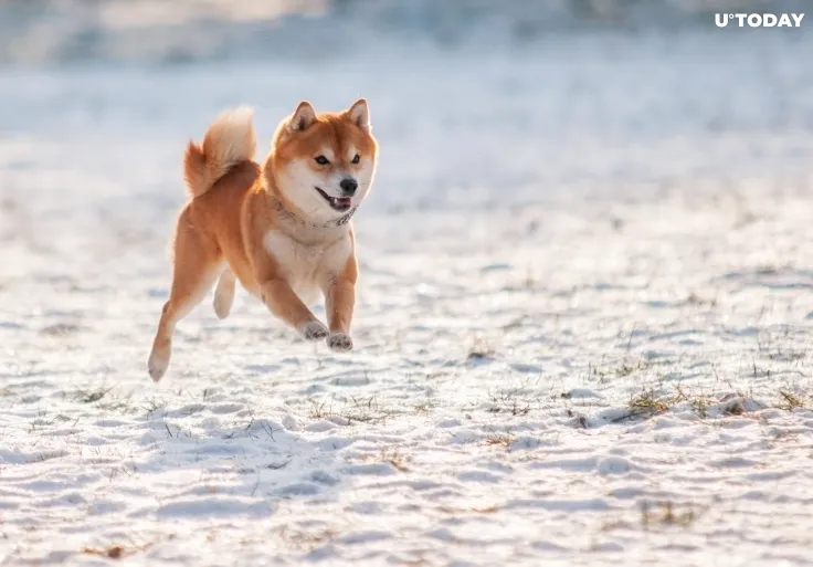 Shiba Inu Spikes 8 Percent on Fake News About Robinhood Listing