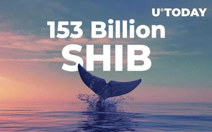 ETH Whale Grabs Over 153 Billion SHIB