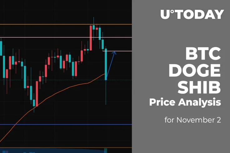 BTC, DOGE and SHIB Price Analysis for November 2