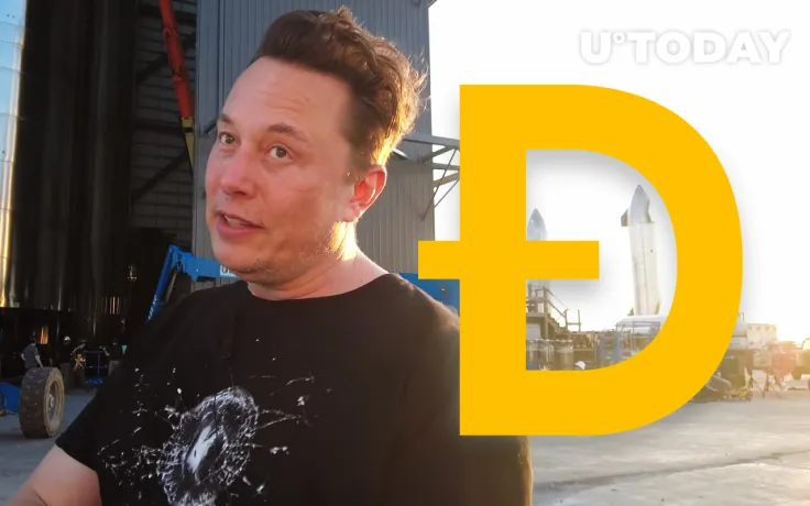 Elon Musk Named New Fake Board Chairman of Dogecoin
