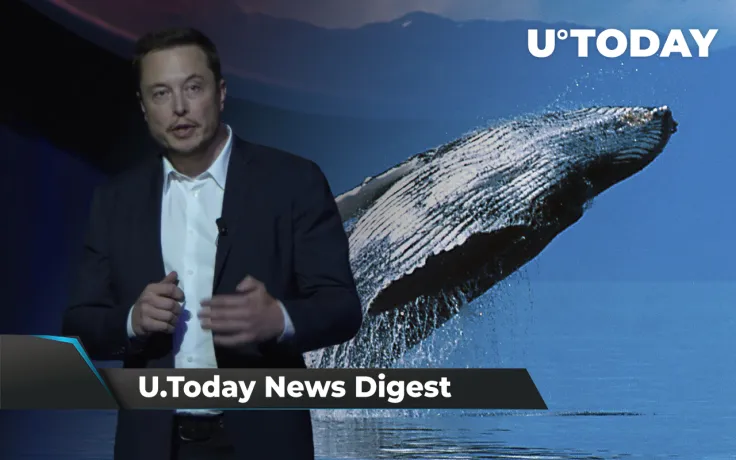 Musk Wants to Be Dogecoin’s Fake CEO, ETH Whale Grabs 153 Billion SHIB, Shiba Inu Times Square Ad Is Fake: Crypto News Digest by U.Today