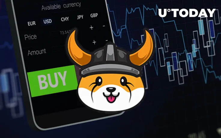 BNB Whale Buys $3.4 Million Worth of FLOKI