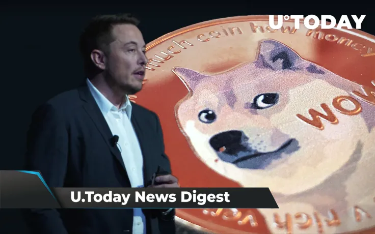 Musk Named New Fake Board Chairman of Dogecoin, SHIB Network Activity Drops, SHIB Amazon Petitions Gain 173,373 signatures: Crypto News Digest by U.Today