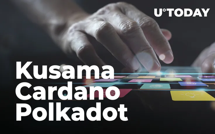 Kusama, Cardano and Polkadot Are Top Three Development Activity Coins