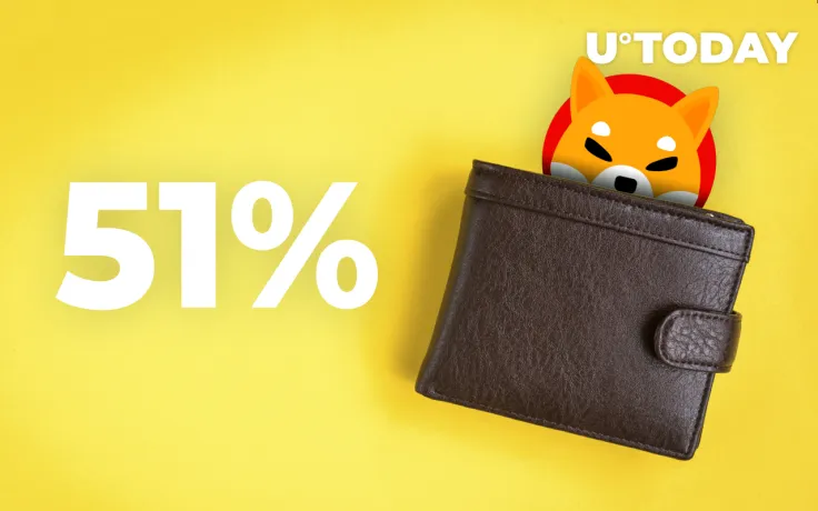 Here's Who Is Actually Holding 51% of SHIB Supply