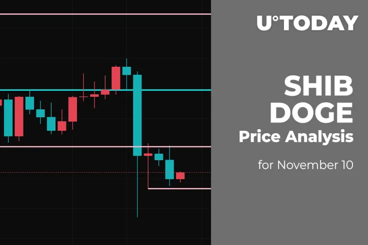SHIB and DOGE Price Analysis for November 10
