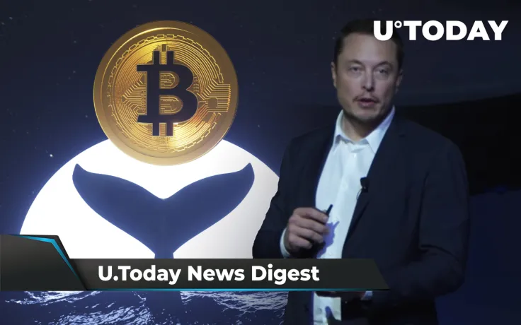 Musk Loses DOGE Market Cap in One Day, 51% SHIB Supply Holder Revealed, BTC Whale Turns $249K into $150 Million: Crypto News Digest by U.Today
