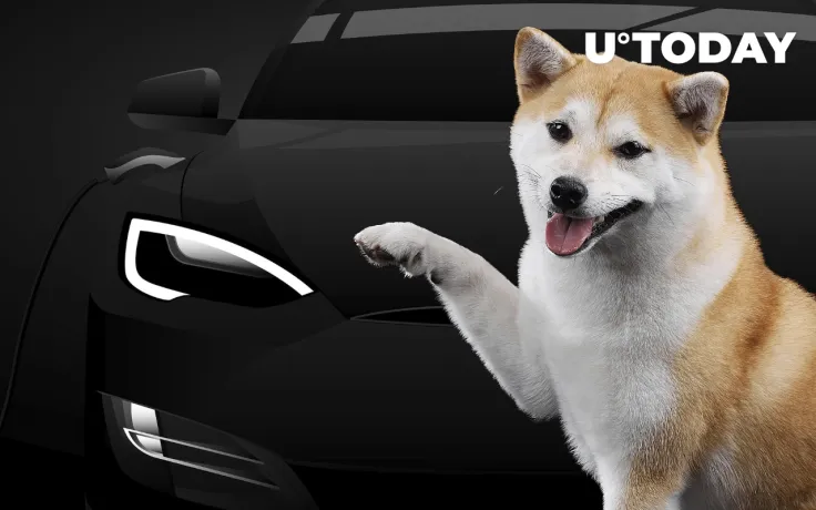 Shiba Inu Compared to Amazon-Backed Tesla Competitor by Early Lyft Investor