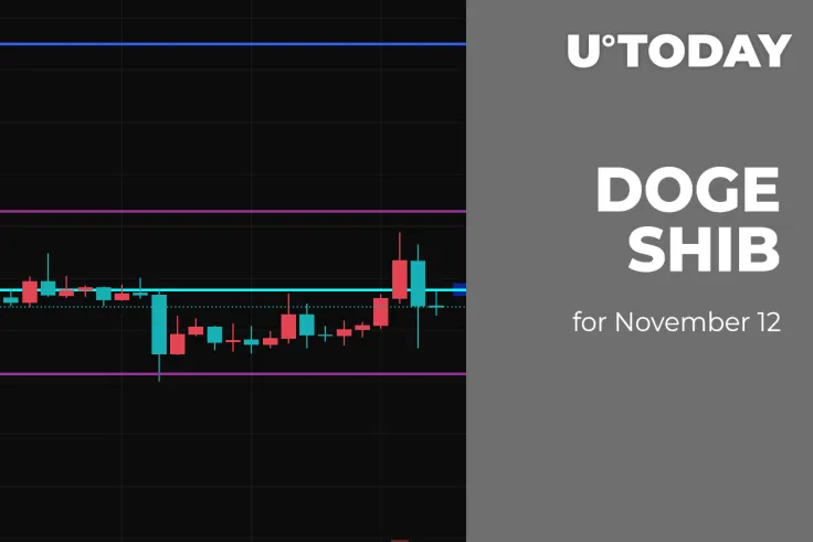 DOGE and SHIB Price Analysis for November 12