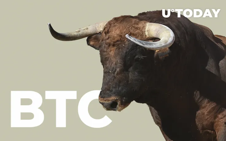 Crypto Analyst Shared One More Simple Indicator for BTC Bull Run Peak