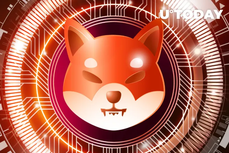 Whales Stopped Moving SHIB, Large Transactions Drop 7%