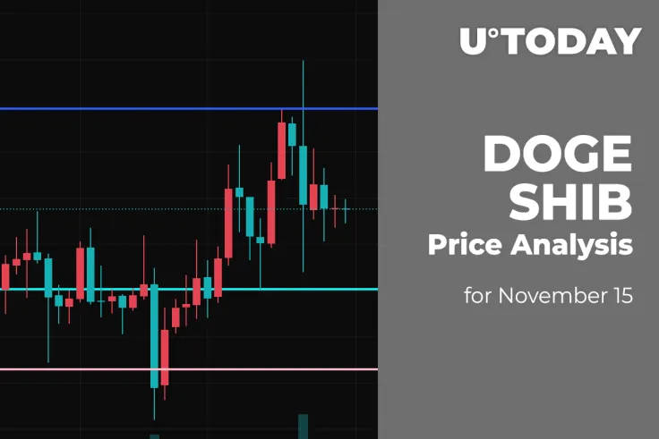 DOGE and SHIB Price Analysis for November 15