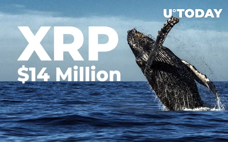 XRP Whale Moves $14 Million from Exchange