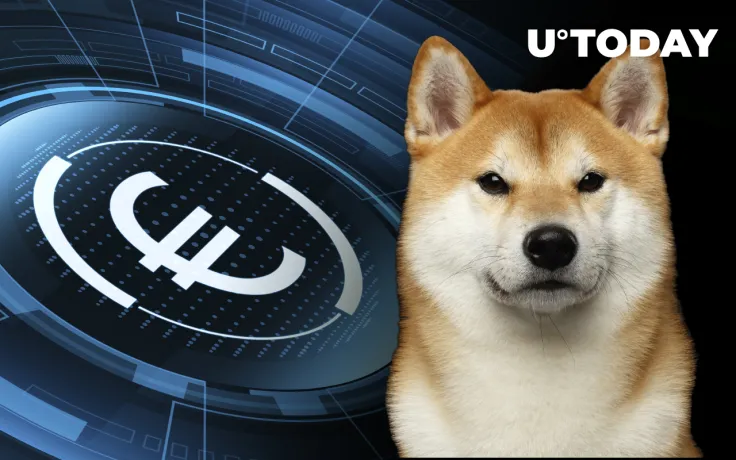 Shiba Inu Can Now Be Traded Against Euro on Peter Thiel-Backed Crypto Trading Platform