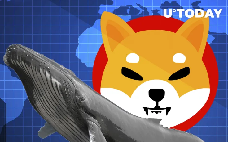 Shiba Inu Dominance Reaches 21% Among Whale-Tier Holders