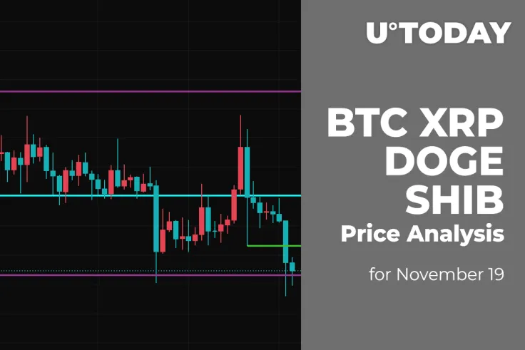 BTC, XRP, DOGE and SHIB Price Analysis for November 19