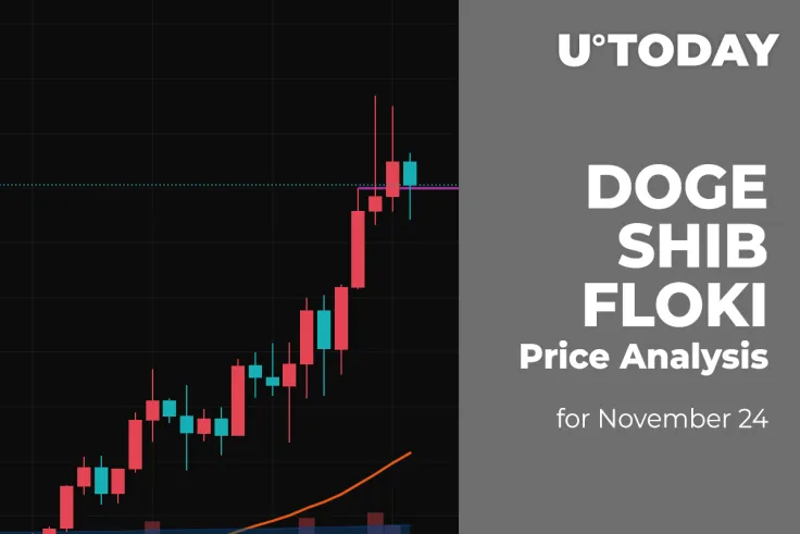 DOGE, SHIB and FLOKI Price Analysis for November 24