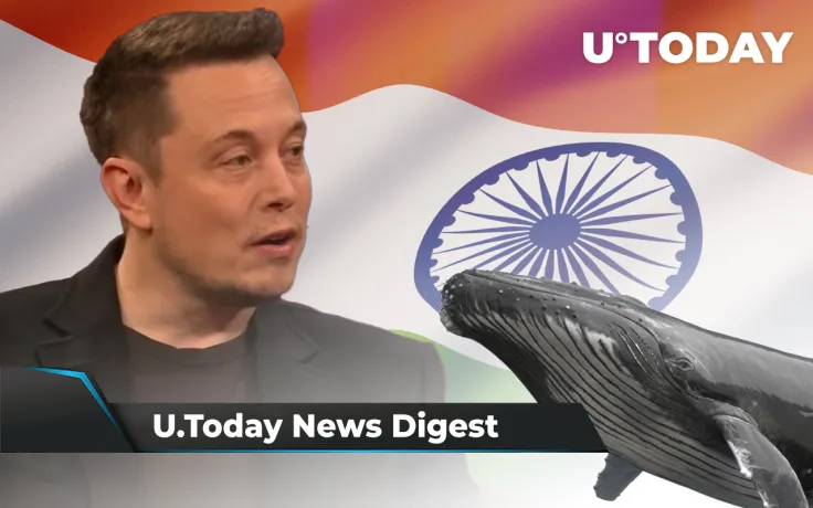 Musk Calls Out Binance CEO over DOGE, India to Ban Almost All Cryptos, SHIB Whale Buys $36 Million Worth of Tokens: Crypto News Digest by U.Today