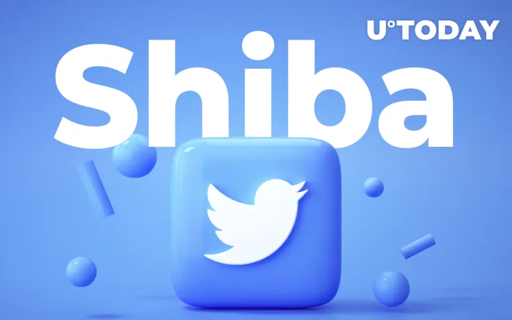 Shiba Inu Official Twitter Account Releases Mysterious Clip, Here's What It Might Be
