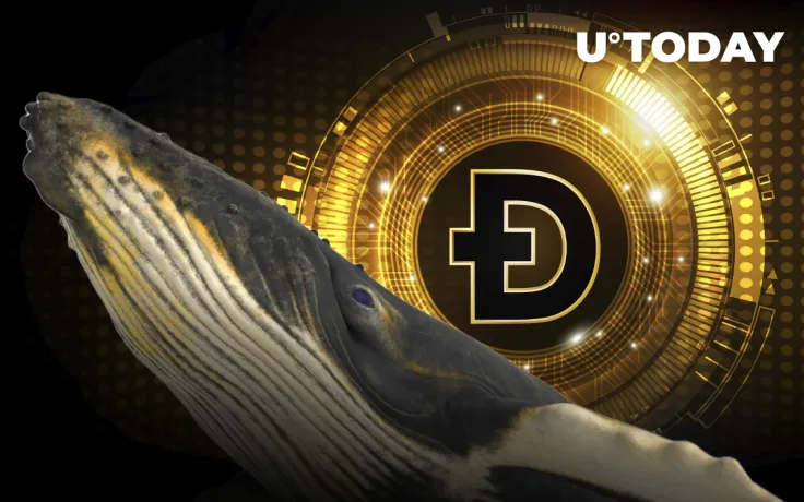 Whales Are Buying Dogecoin According to Smart-Contract Activity