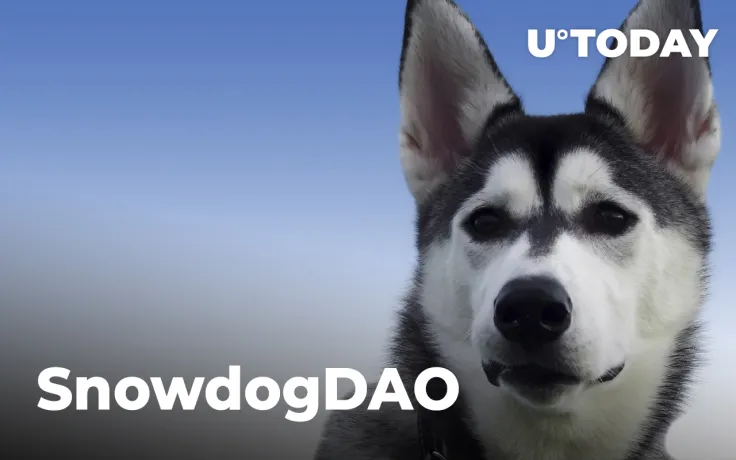 SHIB Competitor SnowdogDAO Allegedly Falls Victim to Largest Rug-Pull in Avalanche History