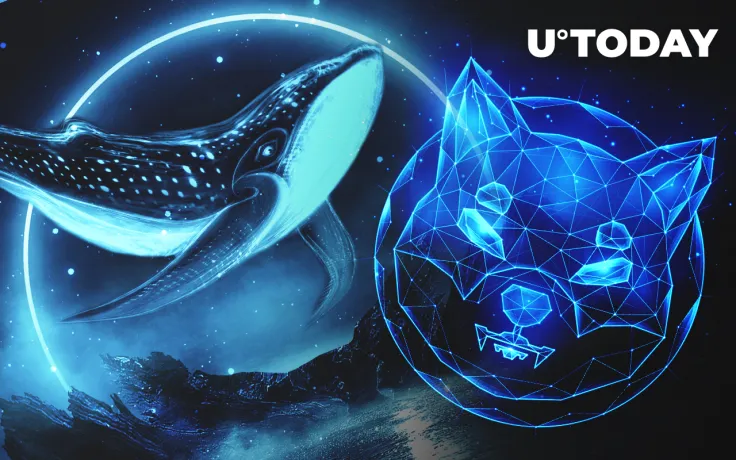 This Whale Bought 35 Billion SHIB While Market Was Crashing